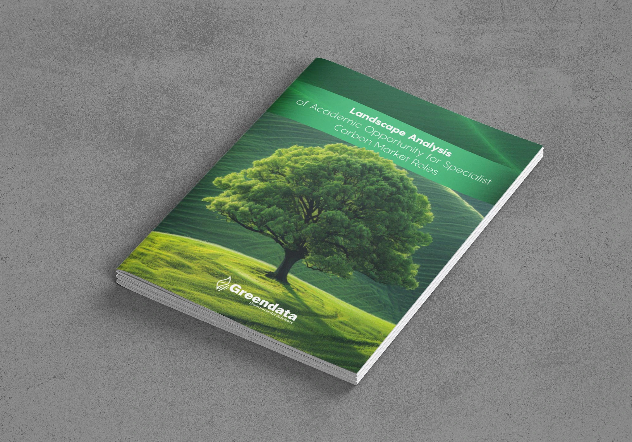 Landscape Analysis of Academic Opportunity for Specialist Carbon Market Roles April2025