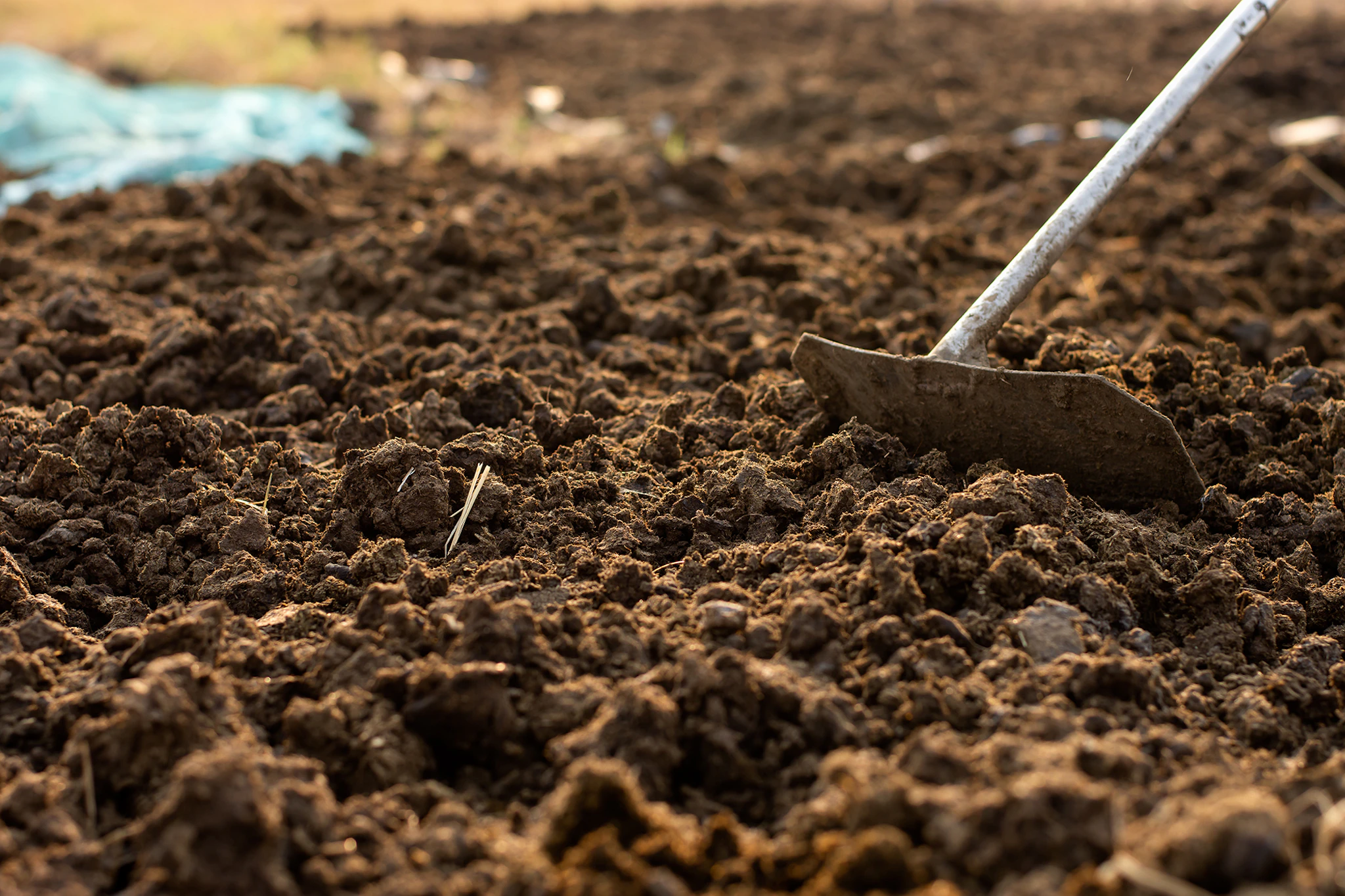 Animal Manure Consultation Image cover